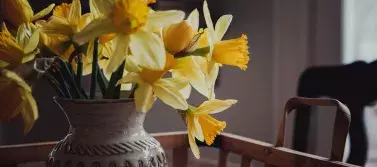 vase with yellow flowers